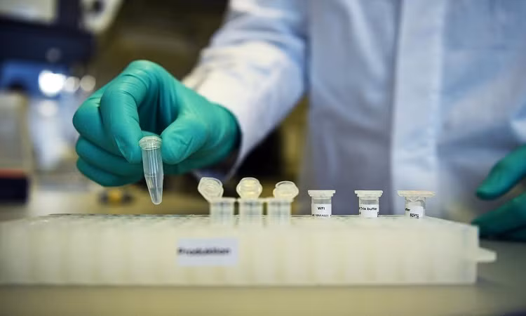 Phát triển vaccine liều thấp ngừa nCoV