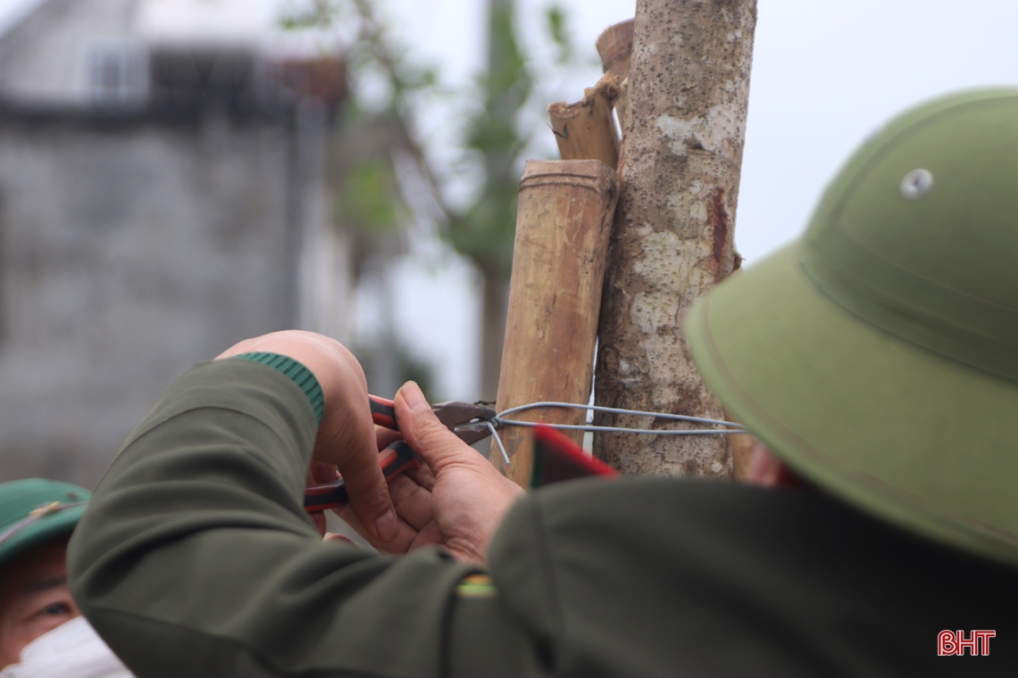 Chủ tịch UBND tỉnh Hà Tĩnh tham gia trồng cây tại các địa phương