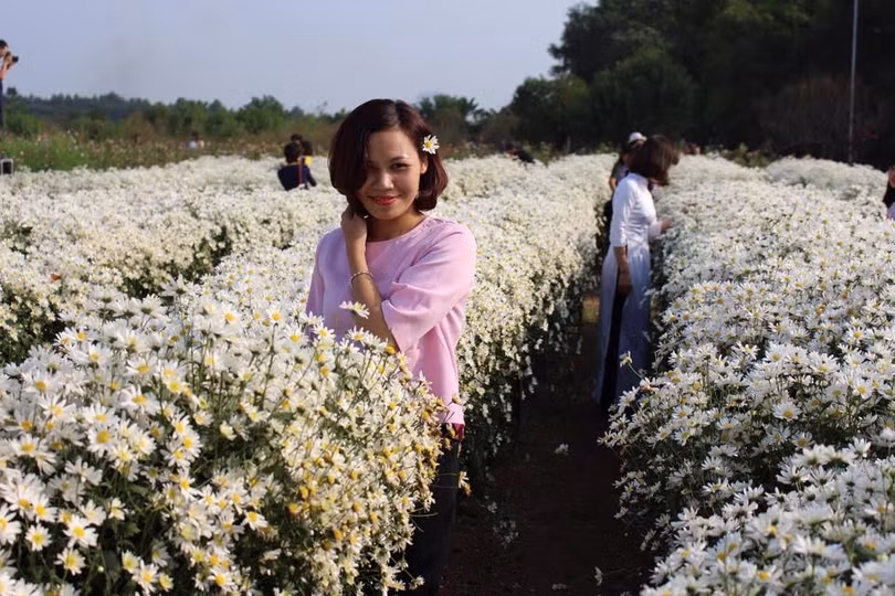 dep ngo ngang cuc hoa mi xuong pho don gio dong ve