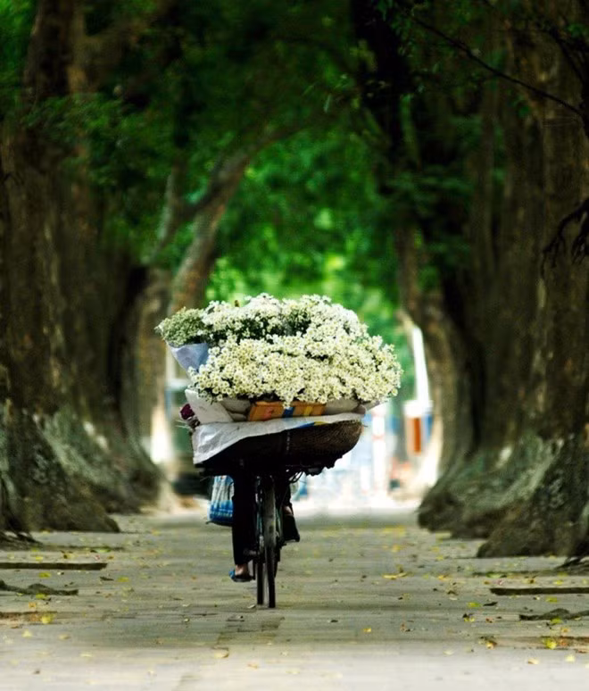 kham pha 5 mua hoa dep khap ca nuoc trong cuoi thang 11