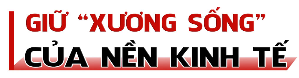 Doanh nghiệp giữ vững vai trò “xương sống” của nền kinh tế