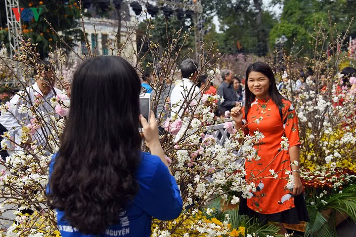 nguoi dan thu do no nuc ngam hoa anh dao nhat ban khoe sac ben ho guom