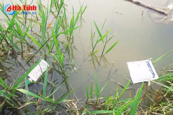 tuy tien xa rac thuoc bvtv nong dan ha tinh tu huy diet chinh minh