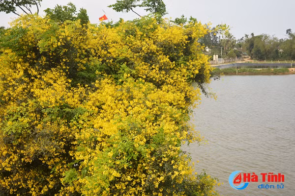 dep me hon hoa gieng gieng ruc vang trien de ha tinh