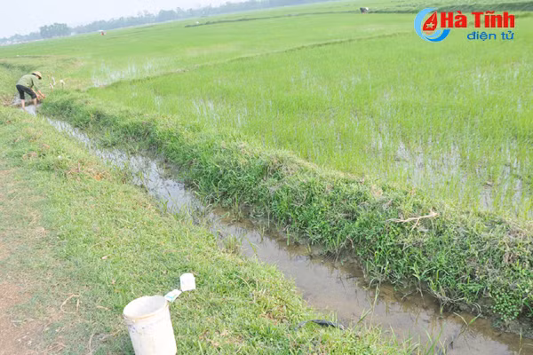 tuy tien xa rac thuoc bvtv nong dan ha tinh tu huy diet chinh minh