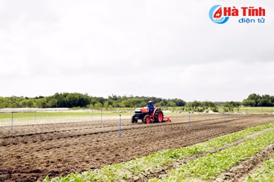 Để có sự phối hợp chặt chẽ thì DN cần cung cấp đầu mối để vừa phối hợp, vừa tạo điều kiện cho ngành quản lý quy hoạch và bám sát sản xuất