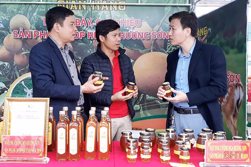 Một hợp tác xã ở Hà Tĩnh sản xuất mật ong đạt chuẩn VietGAP 