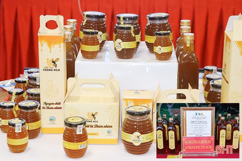 Một hợp tác xã ở Hà Tĩnh sản xuất mật ong đạt chuẩn VietGAP 