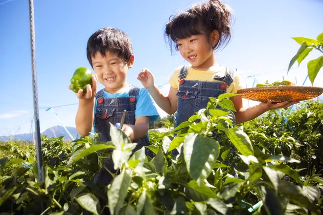 Quan điểm dạy con khác biệt của cha mẹ Nhật Bản bạn nên biết