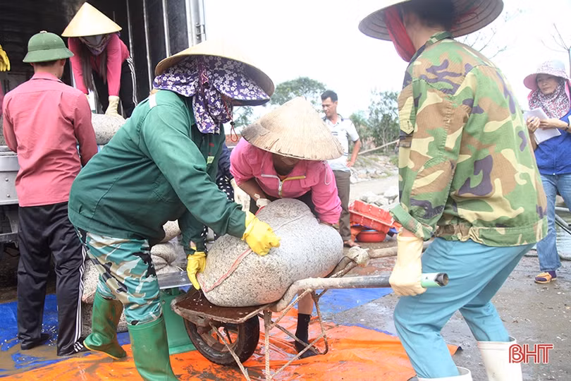 Người nuôi ngao ở Hà Tĩnh khôi phục sản xuất sau mưa lũ