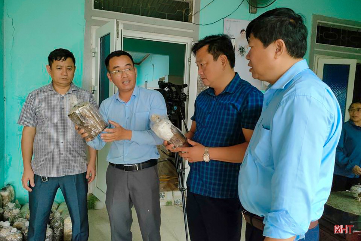 Xây dựng huyện nông thôn mới - Kỳ Anh nỗ lực bứt phá (bài cuối): Bền vững trên hành trình đạt chuẩn các tiêu chí