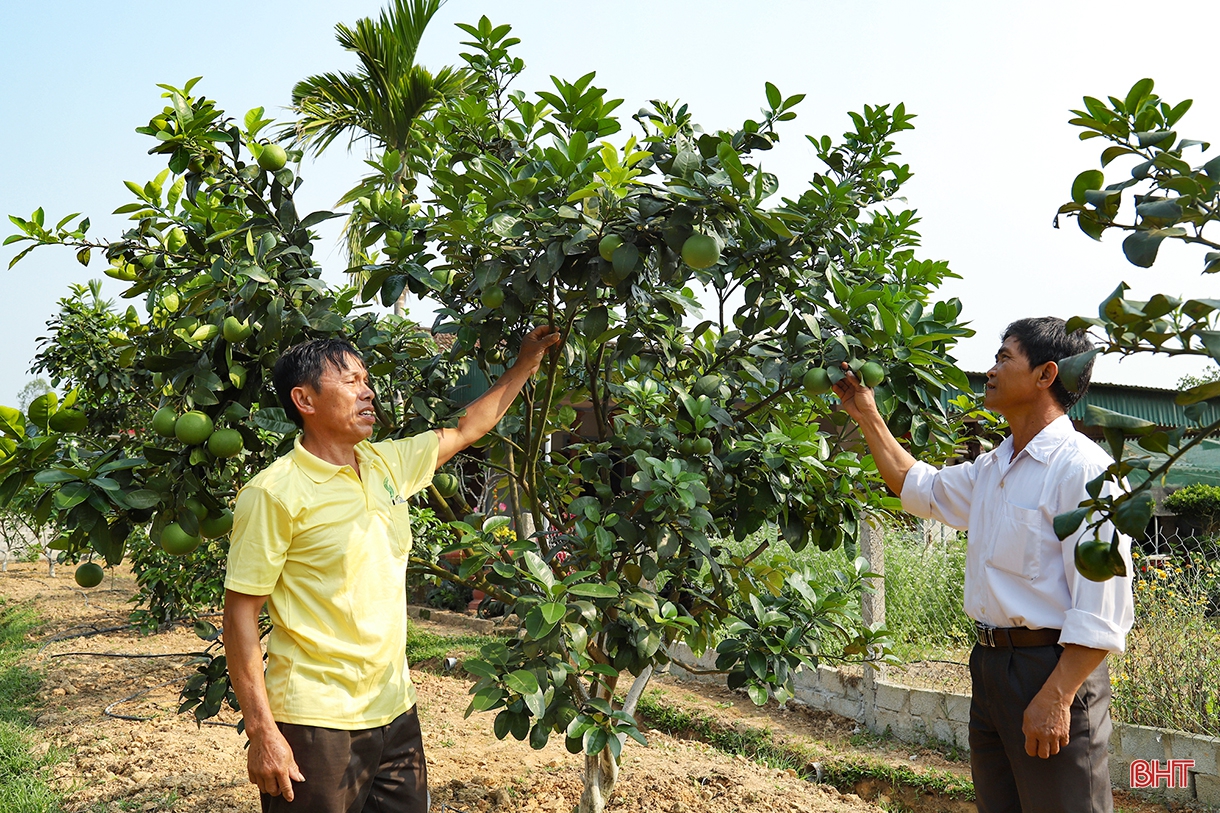 Nông thôn mới Hà Tĩnh – mới từ ý Đảng, lòng dân (Bài 5): Sáng tạo không ngừng, bài học thành công của Hà Tĩnh