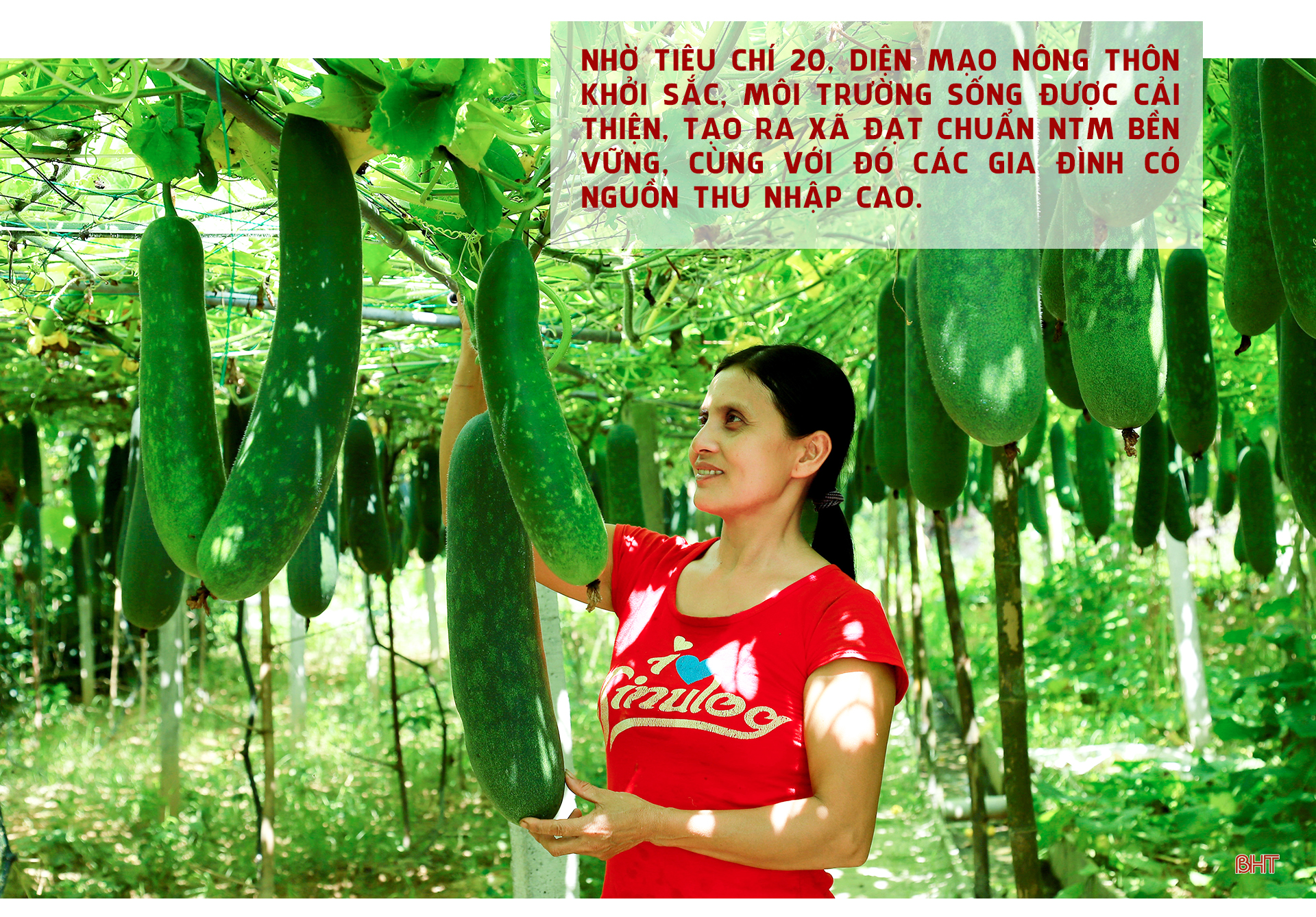 Nông thôn mới Hà Tĩnh – mới từ ý Đảng, lòng dân (Bài 5): Sáng tạo không ngừng, bài học thành công của Hà Tĩnh