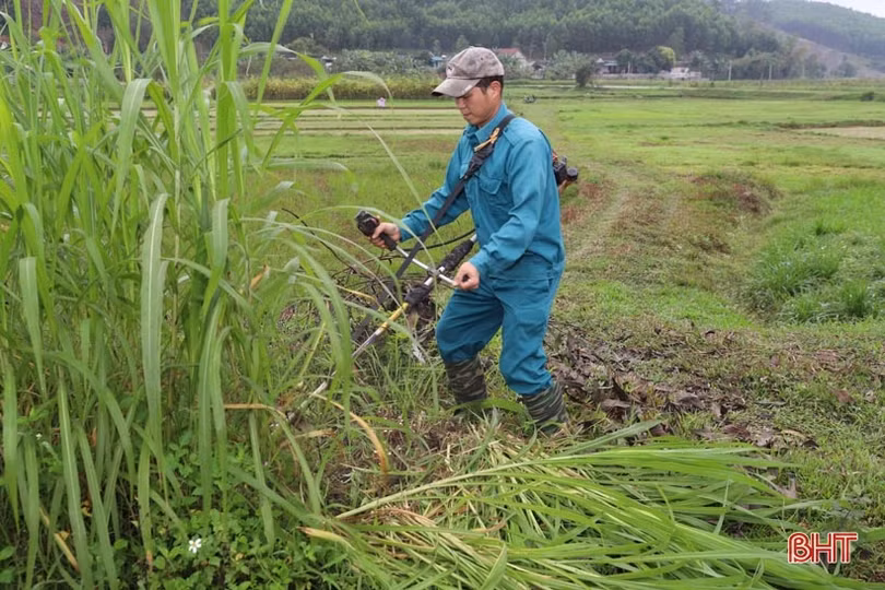 Bỏ phố về quê, vợ chồng kỹ sư trẻ biến đất hoang thành trang trại tiền tỷ