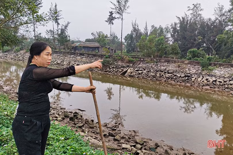 Kênh C2 sạt lở nghiêm trọng, người dân Lộc Hà bất an!