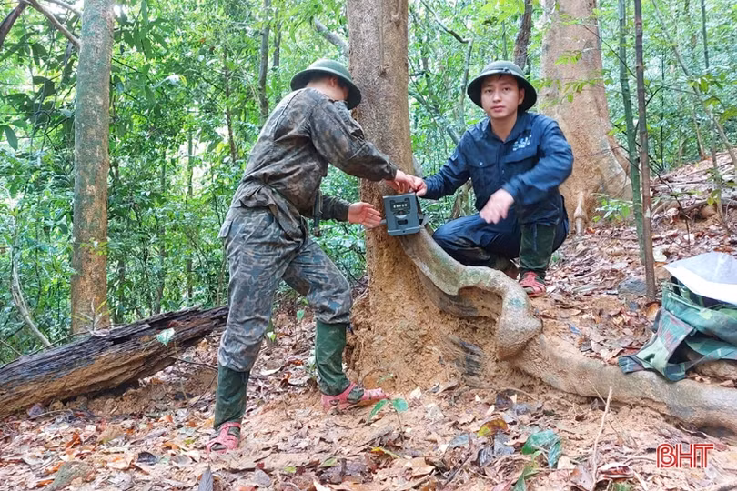 Lắp 25 điểm bẫy ảnh giám sát đa dạng sinh học trong “Vườn di sản ASEAN” ở Hà Tĩnh