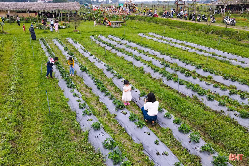 Trải nghiệm “Chợ gánh - Mùa thương đầu” tại Hà Tĩnh