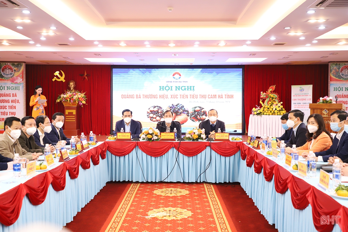 Hà Tĩnh tổ chức hội nghị, kết nối trực tuyến 300 điểm cầu quảng bá thương hiệu, xúc tiến tiêu thụ cam