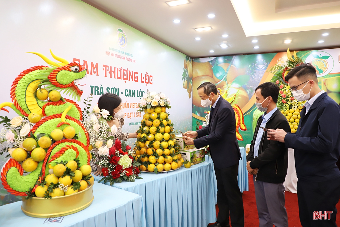 Hà Tĩnh tổ chức hội nghị, kết nối trực tuyến 300 điểm cầu quảng bá thương hiệu, xúc tiến tiêu thụ cam