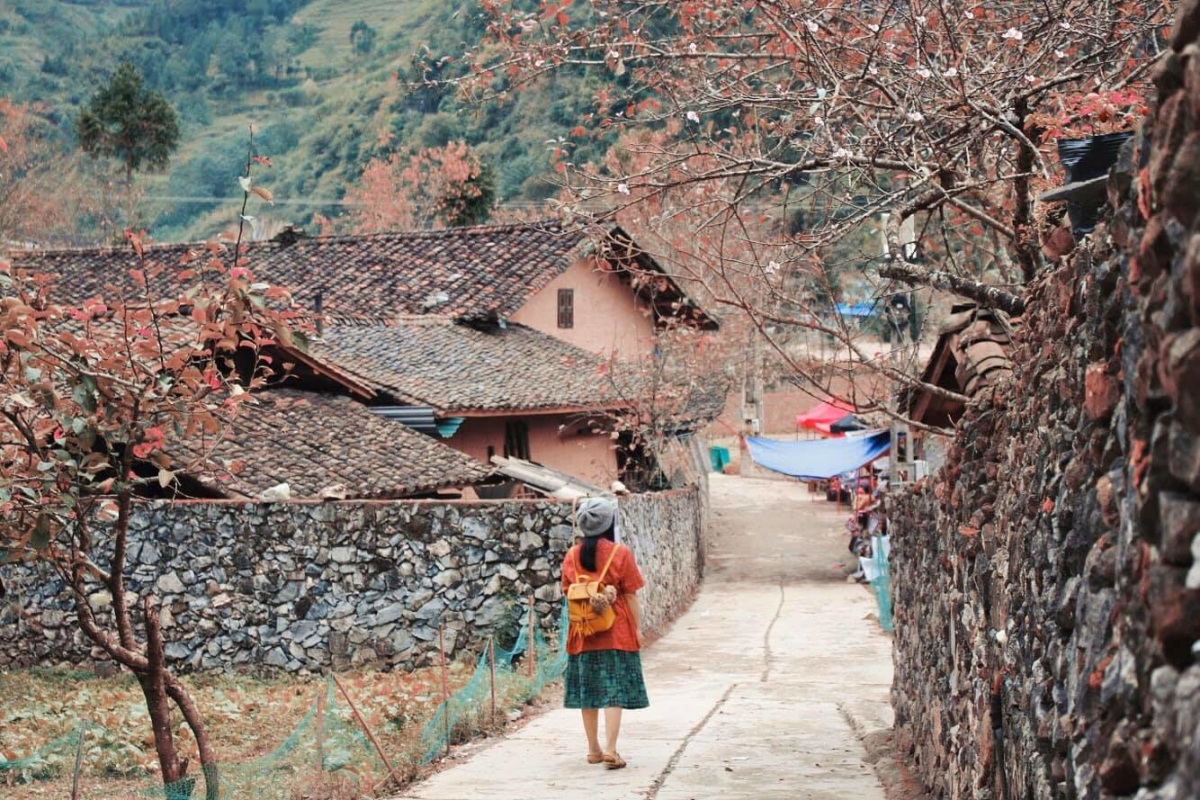 Hà Giang đẹp nên thơ trong mắt cô gái 8X