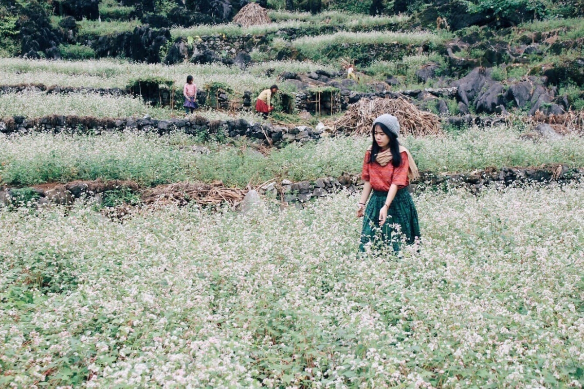 Hà Giang đẹp nên thơ trong mắt cô gái 8X