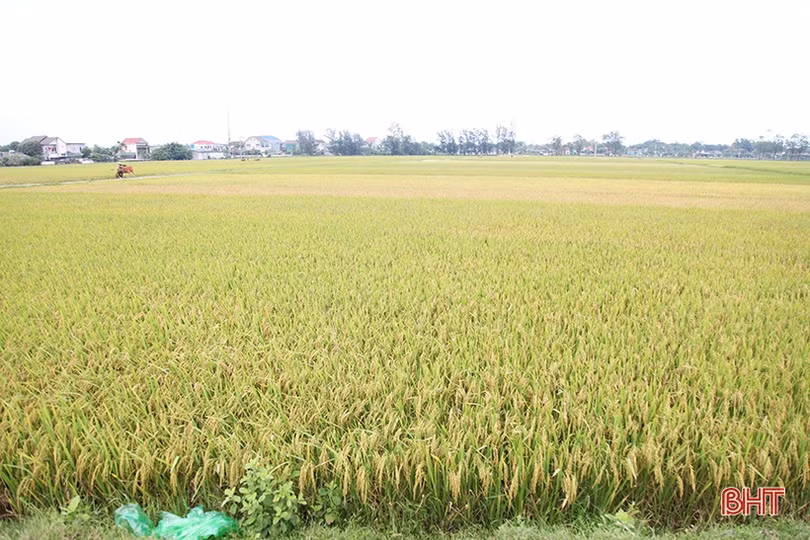Hà Tĩnh ảnh hưởng ra sao trước đợt lạnh hiếm gặp giữa tháng 5?
