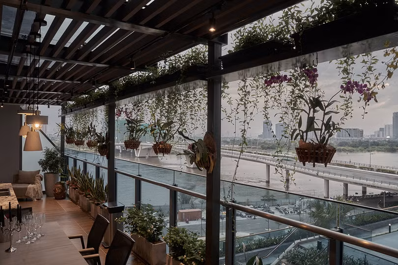 Ngôi nhà bọc kính giữa rừng cây