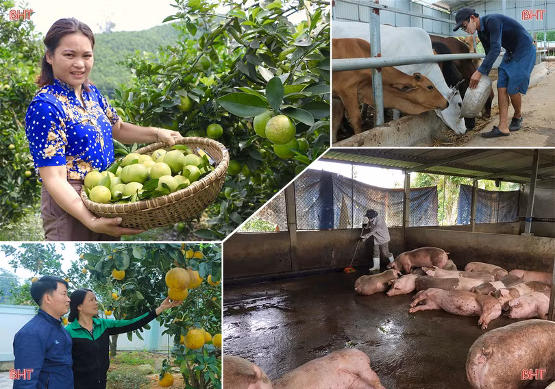 Vũ Quang xây dựng nền nông nghiệp hữu cơ tuần hoàn