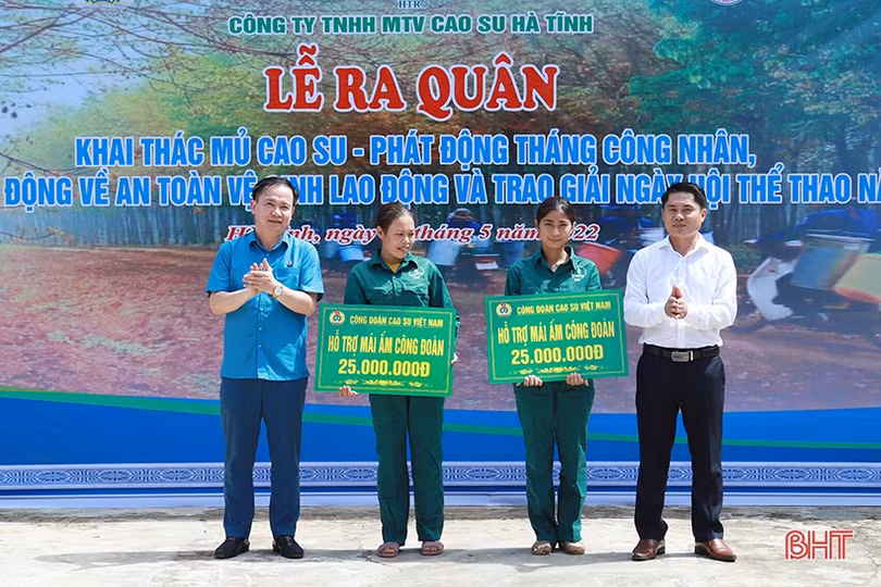 Công ty TNHH MTV Cao su Hà Tĩnh phấn đấu sản xuất hơn 2.000 tấn mủ