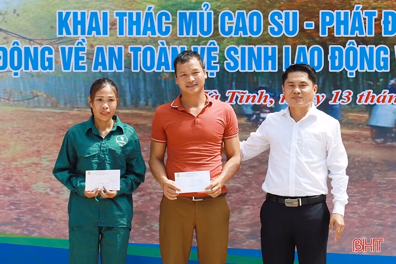 Công ty TNHH MTV Cao su Hà Tĩnh phấn đấu sản xuất hơn 2.000 tấn mủ