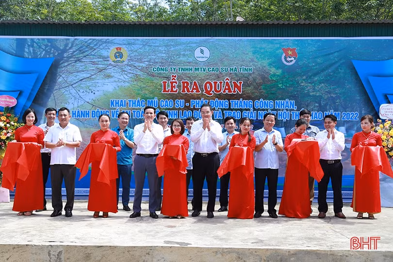 Công ty TNHH MTV Cao su Hà Tĩnh phấn đấu sản xuất hơn 2.000 tấn mủ