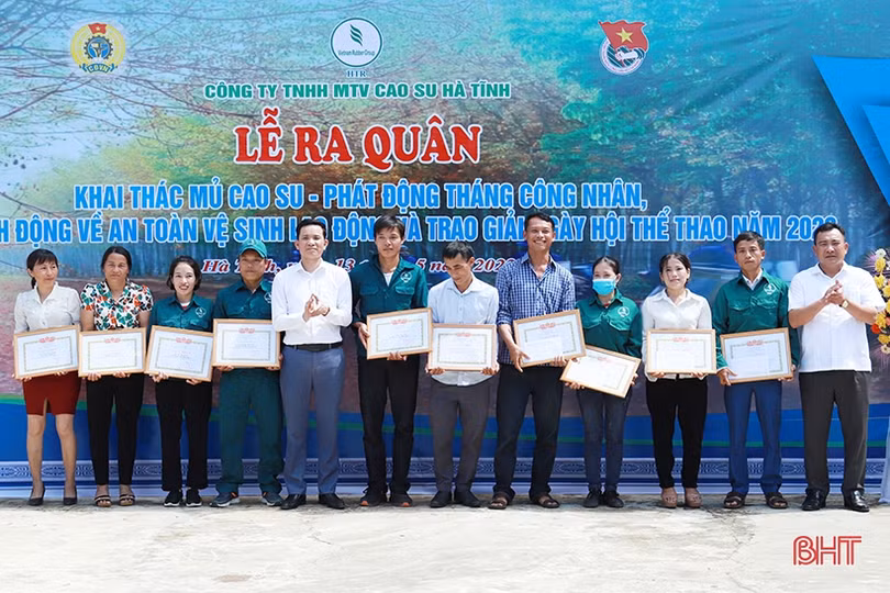 Công ty TNHH MTV Cao su Hà Tĩnh phấn đấu sản xuất hơn 2.000 tấn mủ