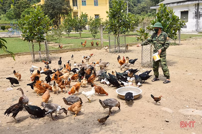 Đồn Biên phòng Hương Quang tăng gia sản xuất, đảm bảo nguồn thực phẩm sạch