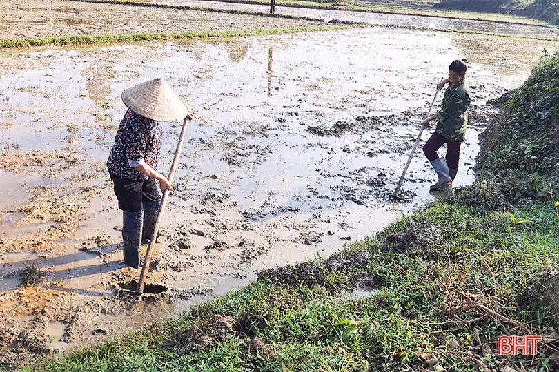 Đất ruộng bị vùi lấp, người dân huyện Kỳ Anh gặp khó trong sản xuất