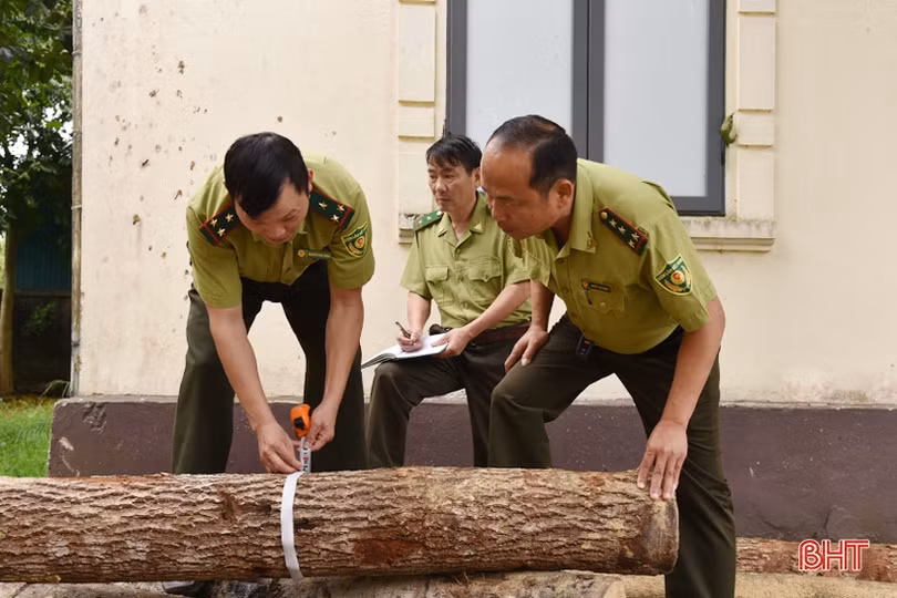 Hà Tĩnh gắn bảo vệ rừng với phát triển đa dạng hệ sinh thái