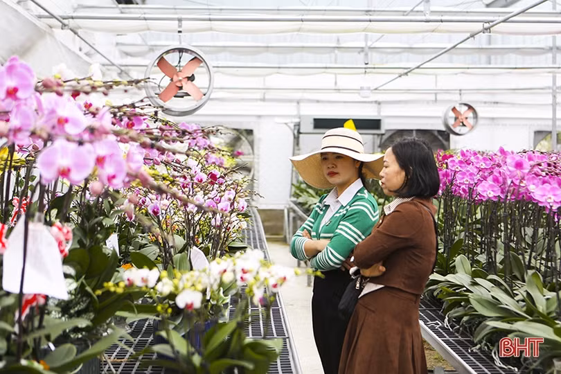 Thêm sắc thắm ngày xuân...