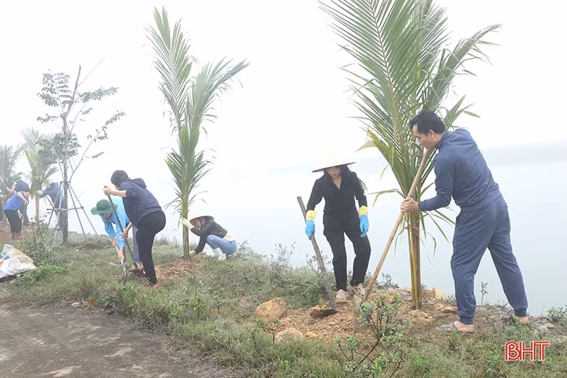 TP Hà Tĩnh trồng gần 5.000 cây dừa ở vùng sinh thái Đồng Ghè