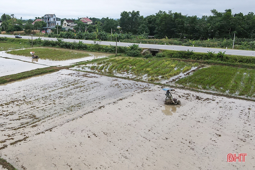 Vào mùa sứa biển, ngư dân Kỳ Ninh tranh thủ hái lộc”!