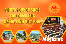 Những quyết sách tạo động lực để Hà Tĩnh bứt phá (bài 2): Ưu tiên nguồn lực phát triển toàn diện “tam nông”