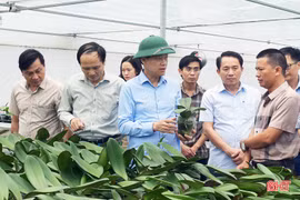 Hỗ trợ các địa phương hấp thụ tốt chính sách phát triển nông nghiệp