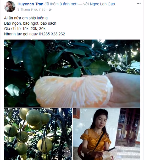 nong dan ha tinh len phay tiep thi buoi