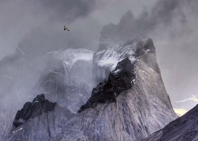 photo ngam nhung buc anh thang giai bird photographer of the year 2017