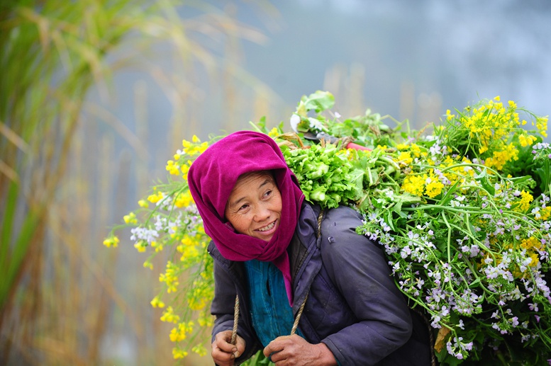 Vẻ đẹp Việt Nam qua ảnh 24 tỉnh, thành
