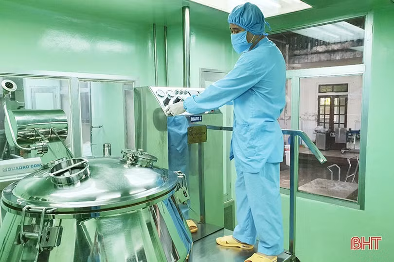 Nông dân Cẩm Xuyên “cướp nắng” thu hoạch cây dược liệu