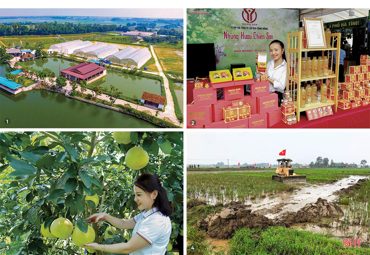 Đưa nghị quyết đại hội Đảng các cấp vào cuộc sống - “quả ngọt” trong năm đầu gian khó (bài 4): Phát triển kinh tế, xã hội - những bước đi chiến lược ngay đầu nhiệm kỳ