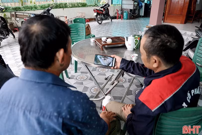 image.jpg