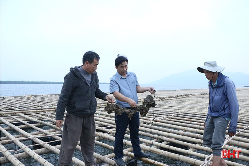 bqbht_br_img-3930-sao-chep.jpg