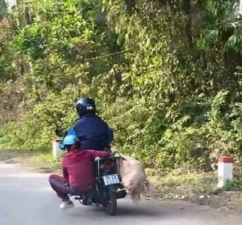 1 001 kieu van chuyen ba dao nhat viet nam