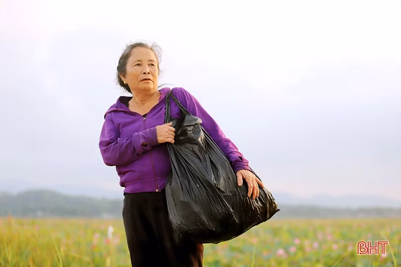 Mùa thu hoạch trên đầm sen rộng 7 hecta ở Hà Tĩnh