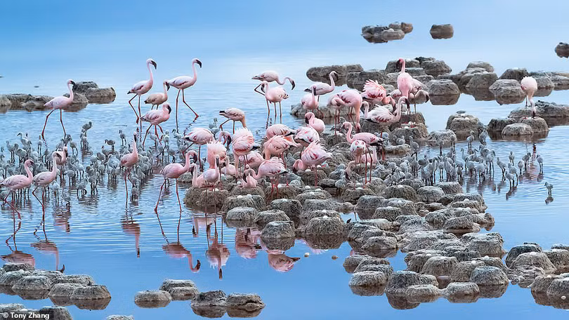 Mùa dịch ở nhà và ngắm thế giới tươi đẹp qua ống kính National Geographic Traveller